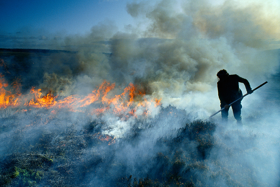 England's upland peat - our largest carbon store - is owned by 150 grouse moor estates, who damage it through burning.

<a href="/ZacGoldsmith/">Zac Goldsmith</a> has pledged to end moorland burning.

Today The Times reports "plans to ban peat-burning appear to have been abandoned".

Is this true, Minister?