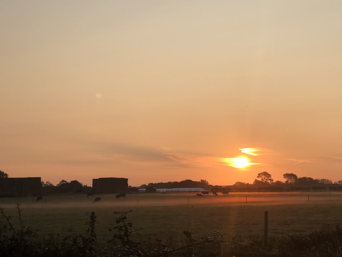 LindsayBurrough's tweet photo. When you get to work with a greeting like this....happy Monday everyone! #norfolkfarming #norfolkcountryside #dairyfarming https://t.co/0WxqxV0Phf