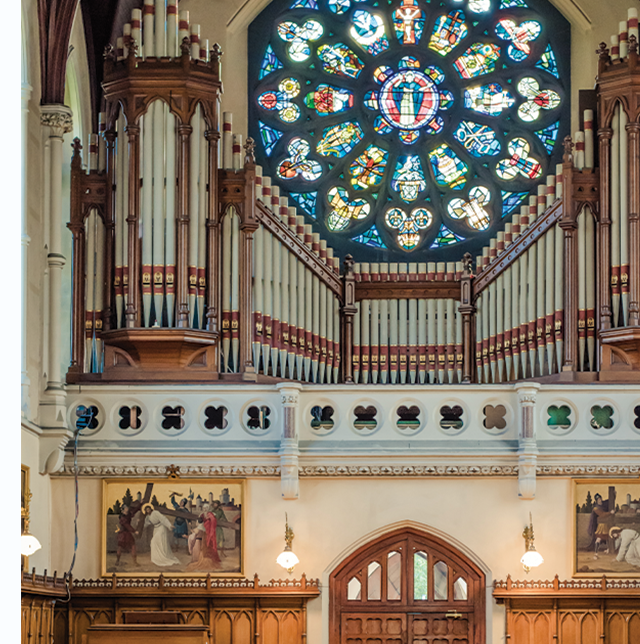 With our excellent and well-situated location just outside Dublin City Centre, you can explore the sites of Dublin city as well as our local attractions. We are just minutes from the beautiful botanic gardens and other local features.

Visit dcurooms.com
#visitdublin