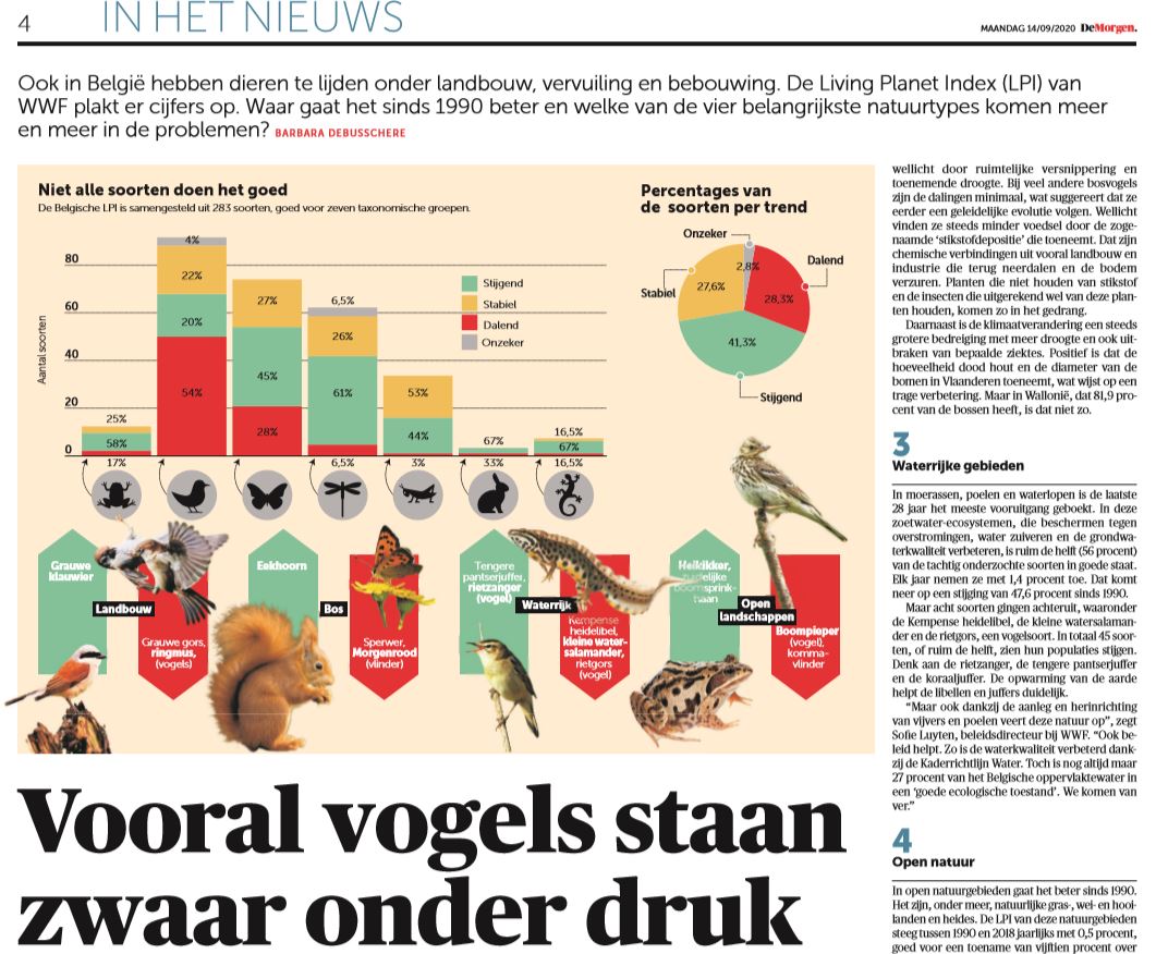 WWF_Belgie's tweet photo. Het #LivingPlanetReport 🦋🐦🪲🌿🌲🌳voor #België 🇧🇪 kan op massale belangstelling rekenen in de media. Vanmiddag stellen @MijnNatuurpunt, @natagora, @BeBiodiversity, @KbinsMuseum en @WWF_Belgie het rapport voor aan Ministers @Zu_Demir en @celine_tellier    
#LivingplanetBelgium https://t.co/jYZBmK9lB7