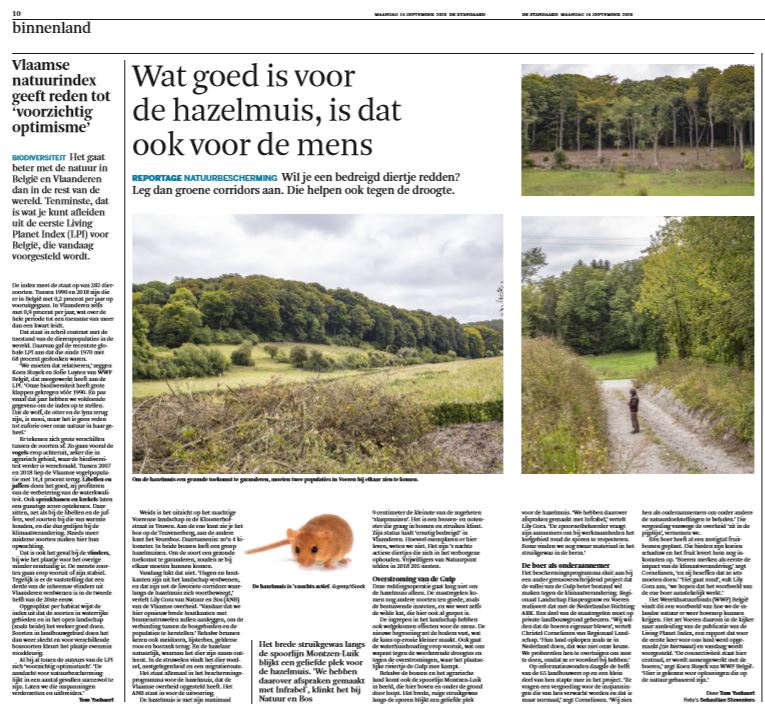 WWF_Belgie's tweet photo. Het #LivingPlanetReport 🦋🐦🪲🌿🌲🌳voor #België 🇧🇪 kan op massale belangstelling rekenen in de media. Vanmiddag stellen @MijnNatuurpunt, @natagora, @BeBiodiversity, @KbinsMuseum en @WWF_Belgie het rapport voor aan Ministers @Zu_Demir en @celine_tellier    
#LivingplanetBelgium https://t.co/jYZBmK9lB7