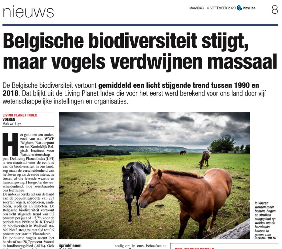 WWF_Belgie's tweet photo. Het #LivingPlanetReport 🦋🐦🪲🌿🌲🌳voor #België 🇧🇪 kan op massale belangstelling rekenen in de media. Vanmiddag stellen @MijnNatuurpunt, @natagora, @BeBiodiversity, @KbinsMuseum en @WWF_Belgie het rapport voor aan Ministers @Zu_Demir en @celine_tellier    
#LivingplanetBelgium https://t.co/jYZBmK9lB7