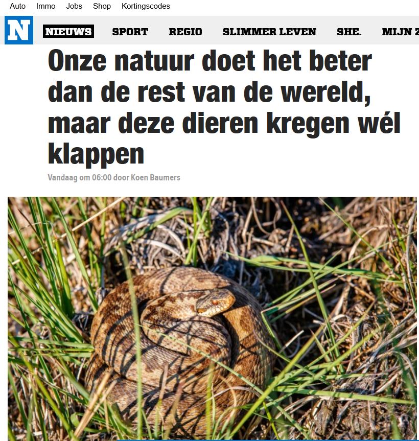 WWF_Belgie's tweet photo. Het #LivingPlanetReport 🦋🐦🪲🌿🌲🌳voor #België 🇧🇪 kan op massale belangstelling rekenen in de media. Vanmiddag stellen @MijnNatuurpunt, @natagora, @BeBiodiversity, @KbinsMuseum en @WWF_Belgie het rapport voor aan Ministers @Zu_Demir en @celine_tellier    
#LivingplanetBelgium https://t.co/jYZBmK9lB7