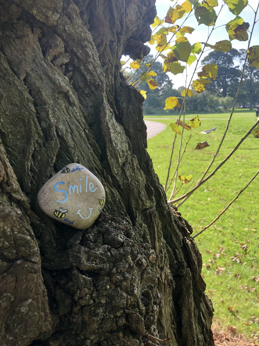 DonnaDonwin's tweet photo. Found these and re-hid @FOSPLiverpool @nwparksforum @MacHouse_AH @AlderHey #springfieldrocks #ourpark https://t.co/5VEd1307hy