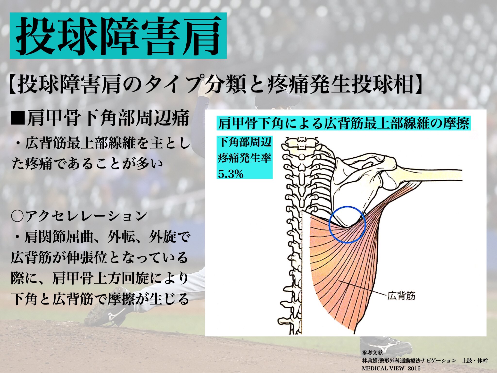 青山 幸@上肢・頚部を学ぶ on X: 