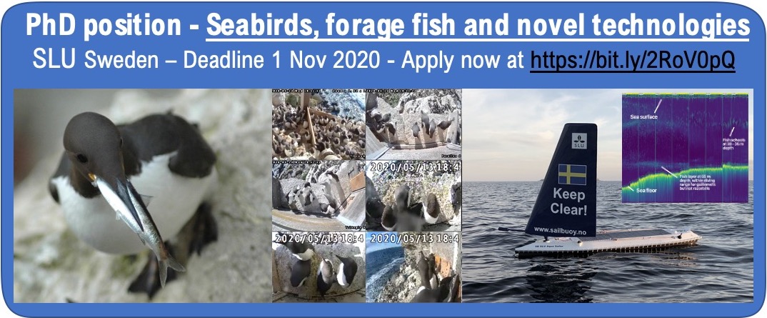 hentatisundberg's tweet photo. I'm recruiting a PhD student to work with #seabirds #fish and marine #drones Please re-tweet! Application due 1 Nov at https://t.co/qSmkIDKGtB https://t.co/HPn8Fqd69f