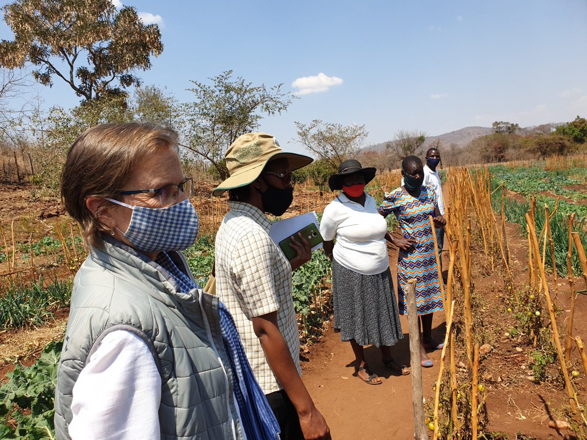 WFP_Zimbabwe's tweet photo. Where the rubber hits the road: Our new country director’s first visit was in #Rushinga. She believes that solutions to achieve #zerohunger are nowhere but in the community.
Siyalamukela😊
Tigashire 👏🏽
Welcome😀 https://t.co/jFQ4KOUIg7