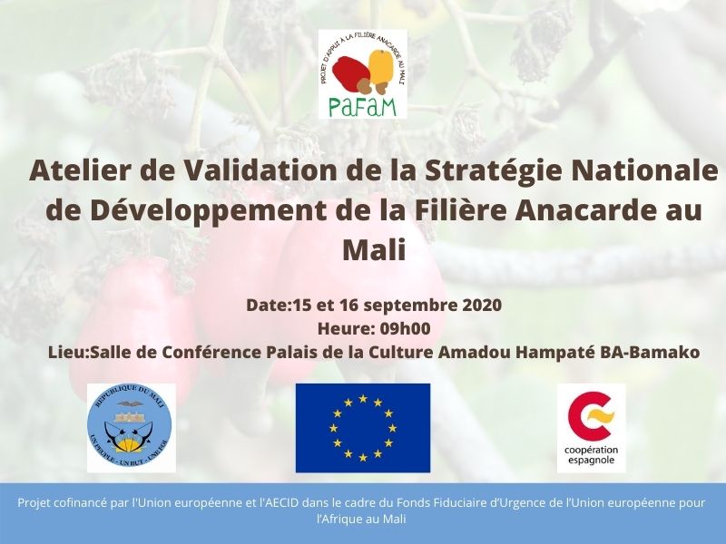 PAFAM3's tweet photo. #UE @UEauMali @AECID_es @agri_ministere #PAFAM #IPROFAM #agriculture #Cajou #Anacarde https://t.co/BVUBD7lKEZ