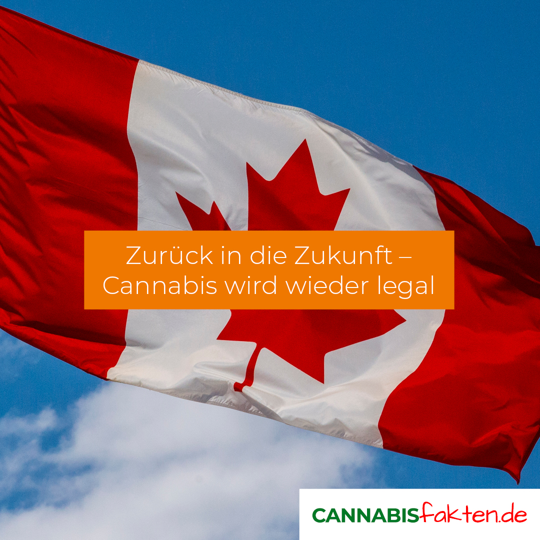 Teilen &amp; weitersagen: Zum Beginn des Jahres 2020 leben weltweit etwa 130 Millionen Menschen in einer Region mit komplett legalen Geschäften! Mehr Fakten unter: cannabisfakten.de #CannabisFakten #MachDichSchlau #MachDichSchlauBeimDHV #CannabisFactstorm #cannabis #legalizeit