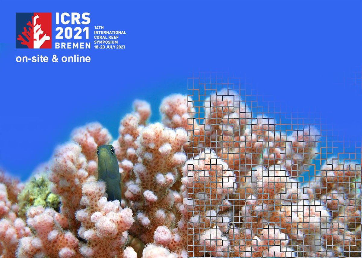 ICRS_2022's tweet photo. IMPORTANT - How to stay flexible in this covid world? The new #ICRS2021 hybrid strategy is giving you the option to either join us in Bremen or participate and present online! Also new: Call for Abstracts is now extended until 15 October. More: https://t.co/A79j8kYXFk https://t.co/MYc6OocBuI