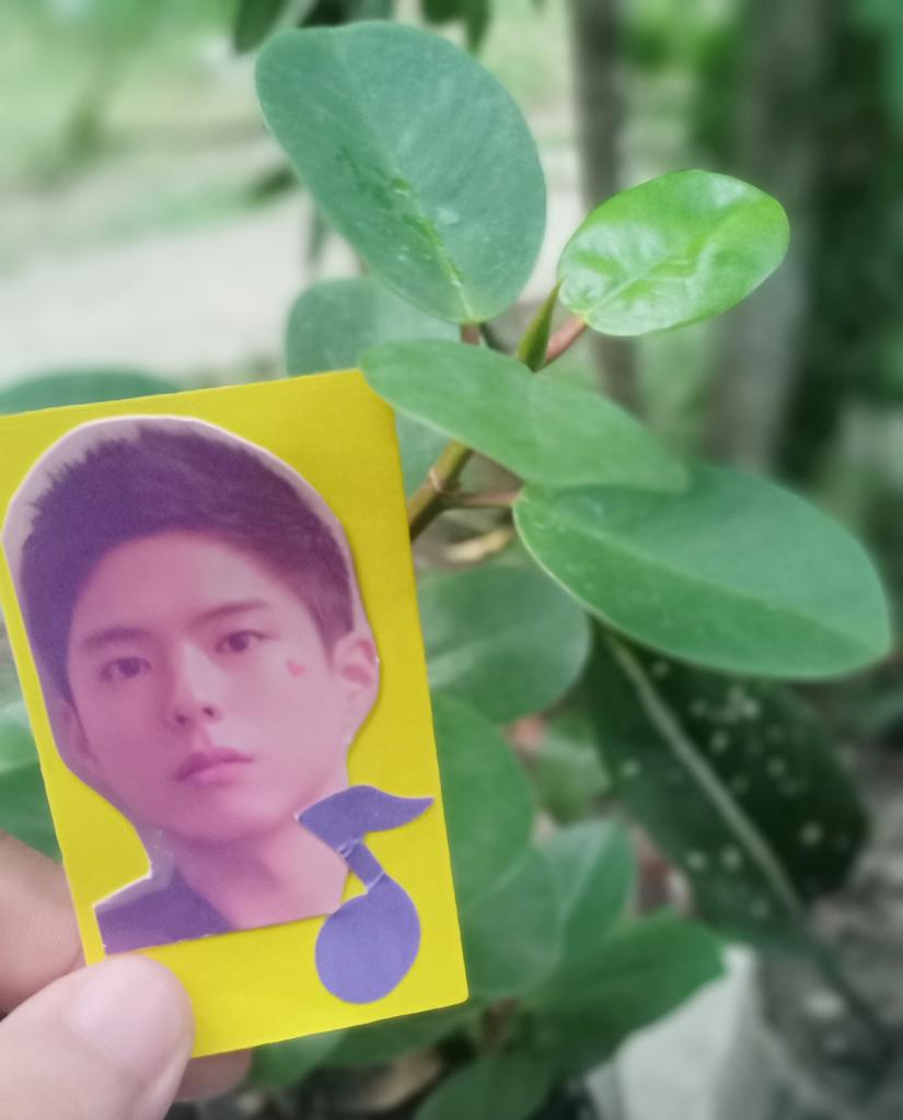 Mandy9228's tweet photo. One day I'll go dancing on the moon..
Someday you'll know, that I was the one for you.. 💙🌟✨🎶
#PlaylistForBogummy #IamStillHere #D593 https://t.co/boAvyloEP5