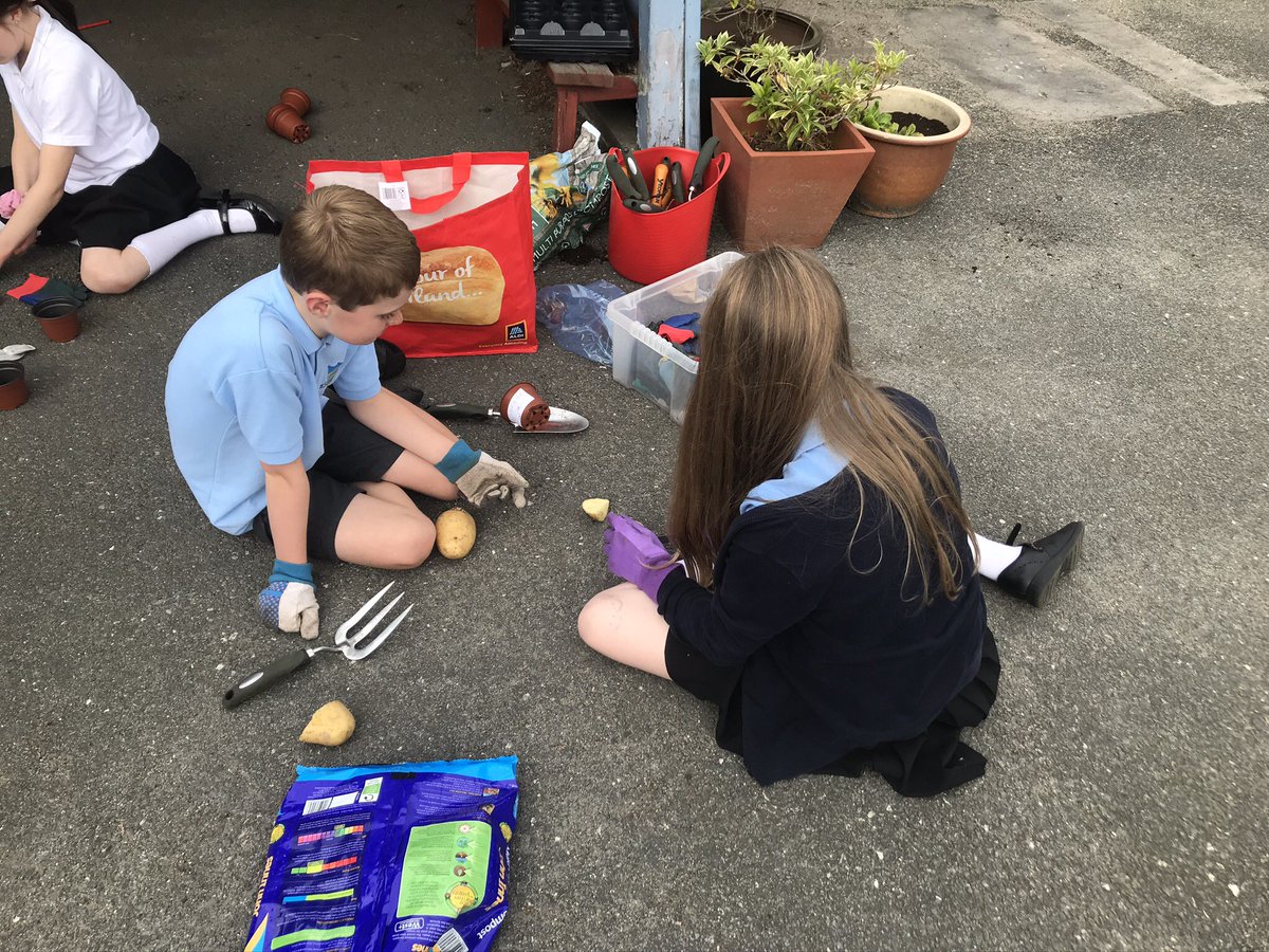 SchoolCluny's tweet photo. P6 taking part in e-Sgoil online science learning activities #learningandachievingtogether https://t.co/1Nb7mYAmIp