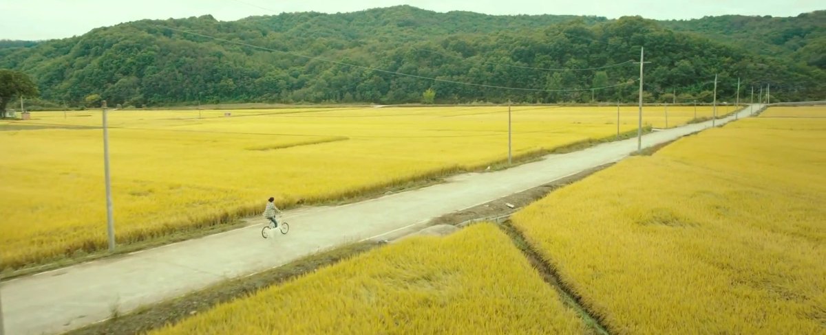 If it isn't too obvious yet, my favorite movie of  #RyuJunYeol is  #LittleForest I love the comforting atmosphere of the village, the home, the friendship, the food, the music... just everything. So if you haven't watched it yet, this is the sign!  #RJYBDAYCOUNTDOWN  #RJYD19