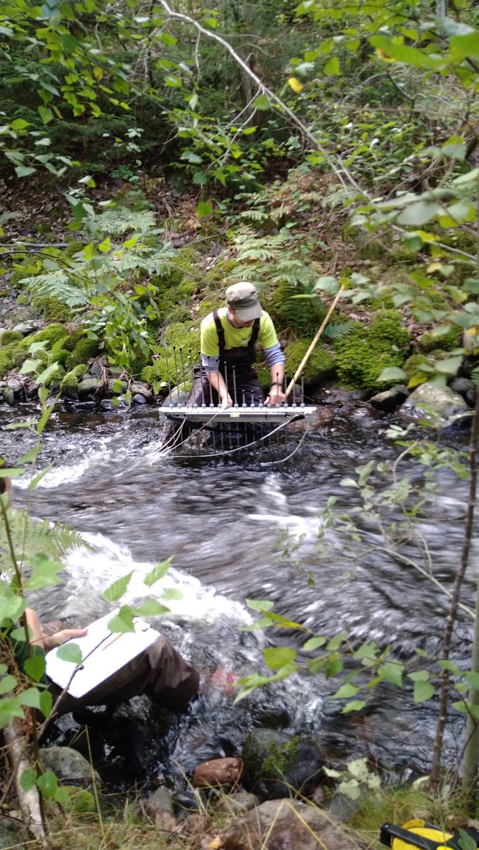 OlleCalles's tweet photo. Even fishways can be challenging to map! River #Emån for @energiforsk project. @SamShry @KAU @NorconsultAS #RivEm #nrrv https://t.co/pBYxKtbzV2