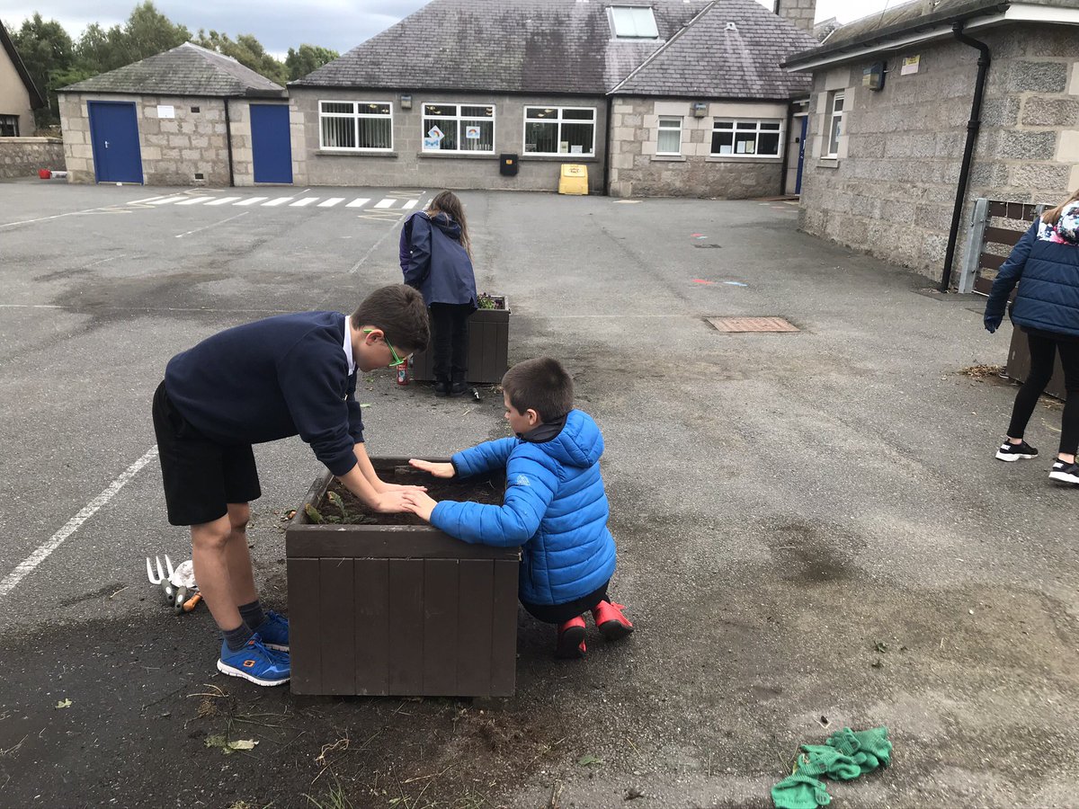 SchoolCluny's tweet photo. P7 pupils participated in a spot of gardening last week. #takingprideintheirschool #learningandachievingtogether https://t.co/eVvqDpIgyK
