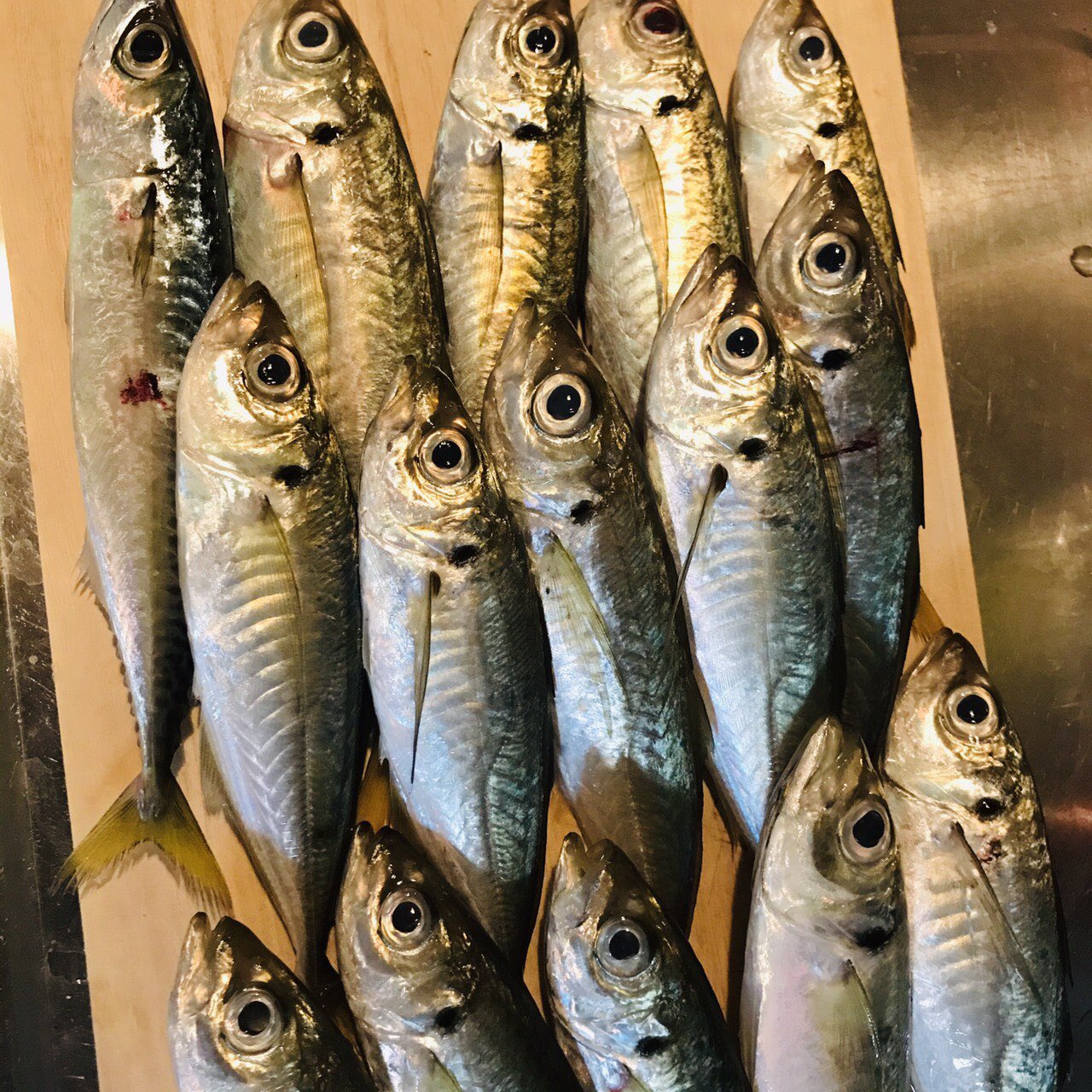 ﾄﾗｯﾄﾘｱ ﾊﾞｰﾙ ｱｯﾌｧﾋﾞｰﾚ アジング始めて約2ヶ月 やっと楽しくなって来ました 今週もよろしくお願い致します アジング 馬渡島 離島 キャンプ 釣り 旅 春日原 アッファビーレ T Co G6qylc5ax9 Twitter