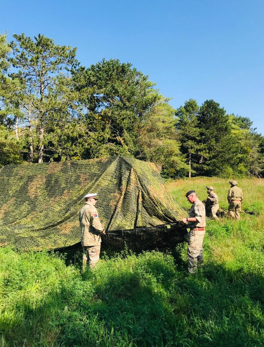 RSA Close Support Wing tweet media