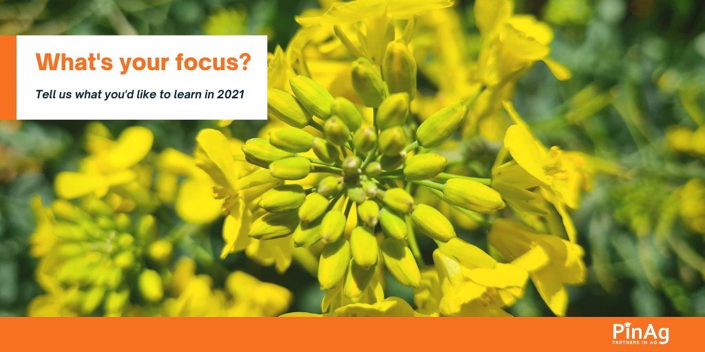 Partners in Ag tweet media