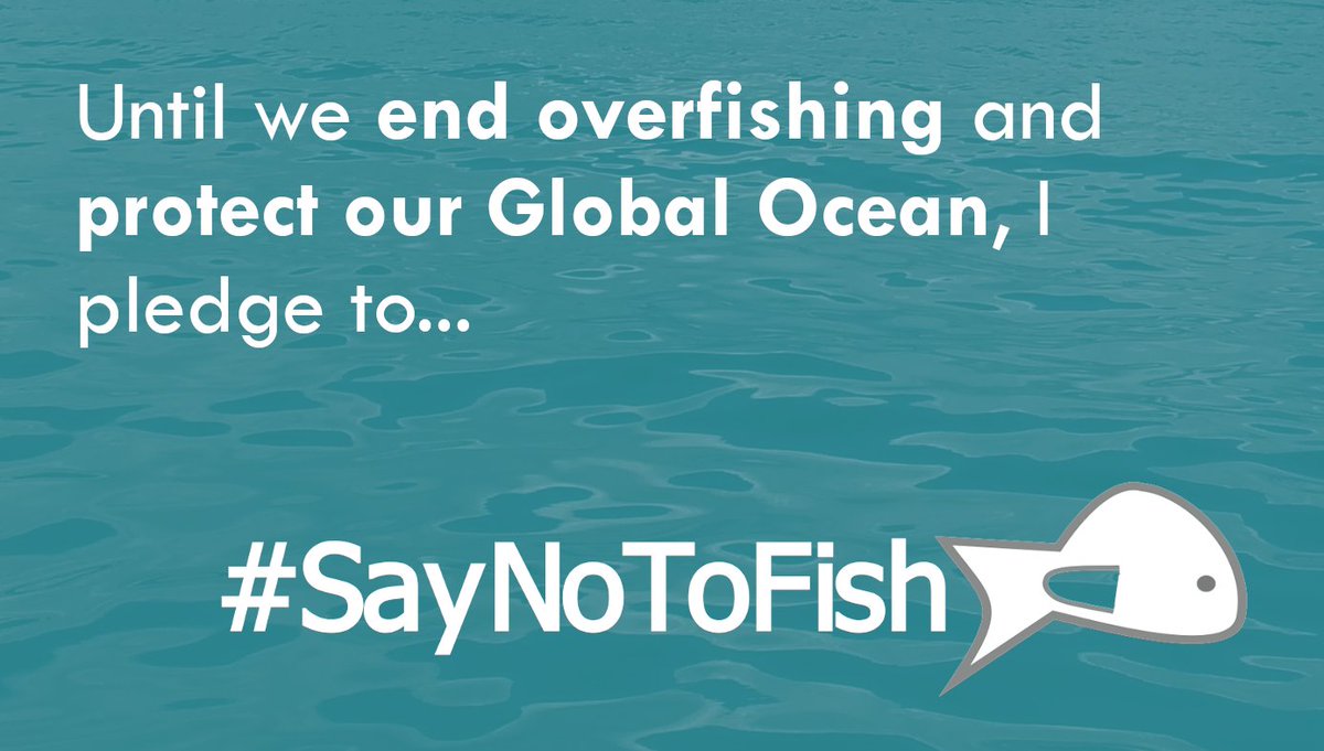saynotofish's tweet photo. Alarmed by #ExtinctionTheFacts? 

Then take action. 

You could choose not to eat wildlife from the #GlobalOcean and instead #SayNoToFish and #SayNoToSeafood (at least until we find a way to protect the marine environment we all depend on).

🐙🦑🦞🦀🐠🐬🐋🦐🦈🐟 https://t.co/FlGBKDAiFD
