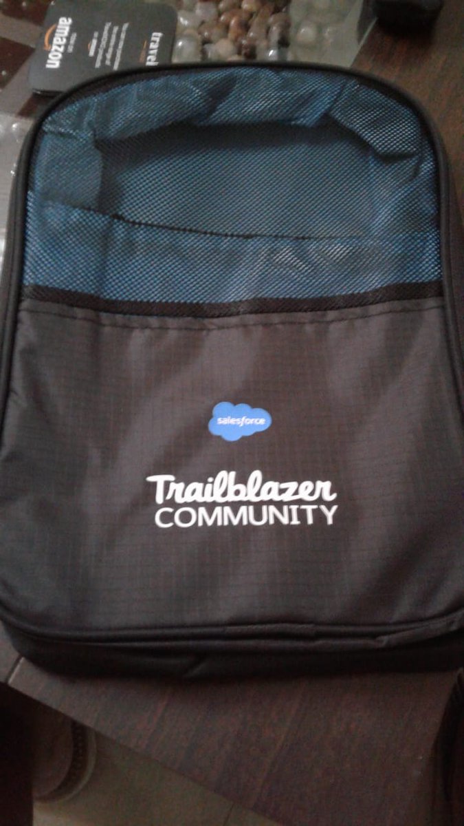 Thank you <a href="/Shivamsfdc/">Shivam Kumar</a> for the amazing session and salesforce swag that I received! #trailblazercommunity #ohana