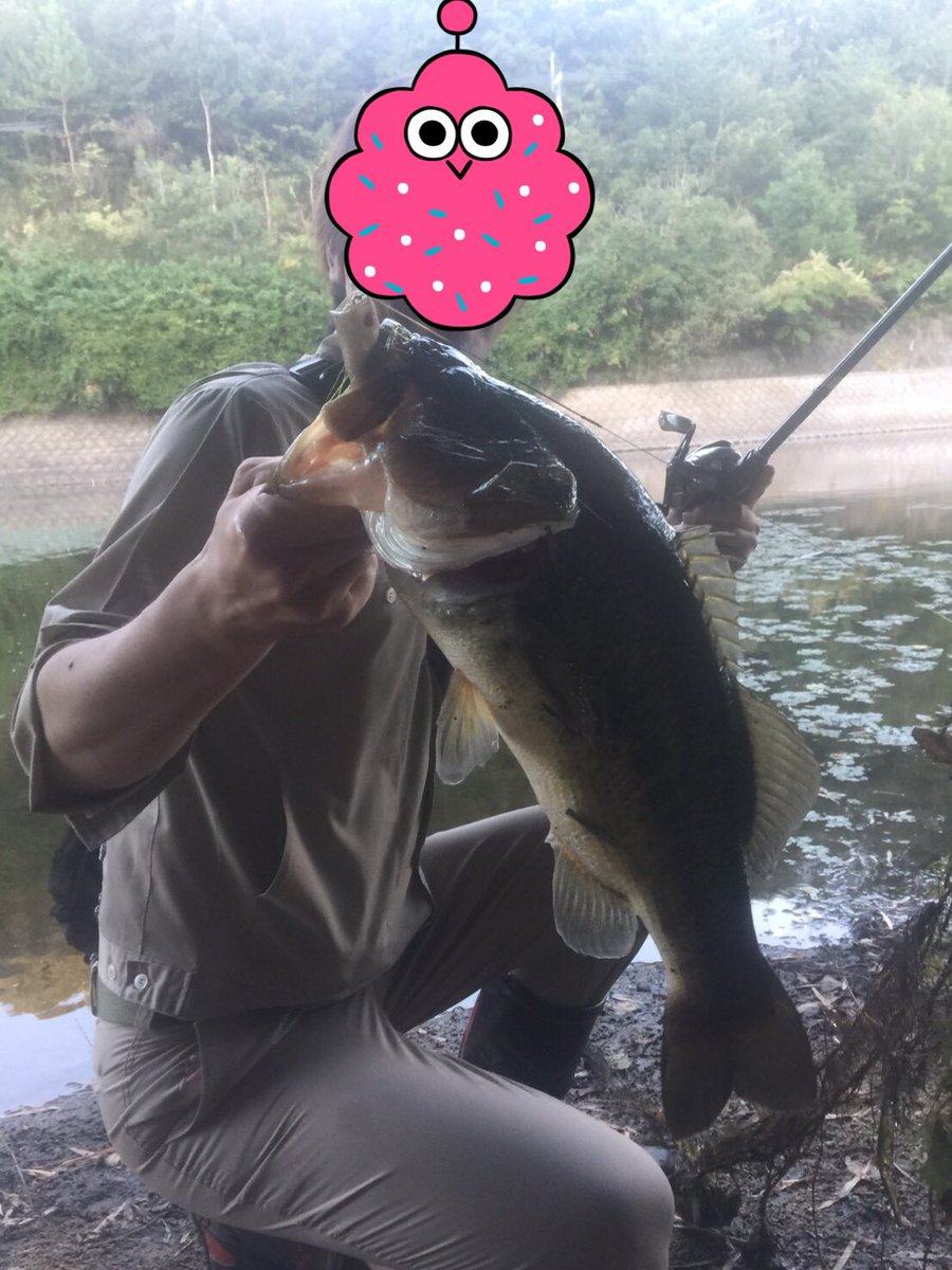 ポッパーフロッグ