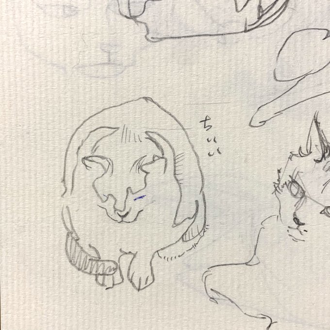 大掃除してたら昔のちーのクロッキーやスケッチがでてきた

1枚めのクロッキーめちゃかわいい
2枚めはネコ描き始めくらいのころのちーでなんとなく恥ずかしいのだが最近まともに載せてないので、、、 