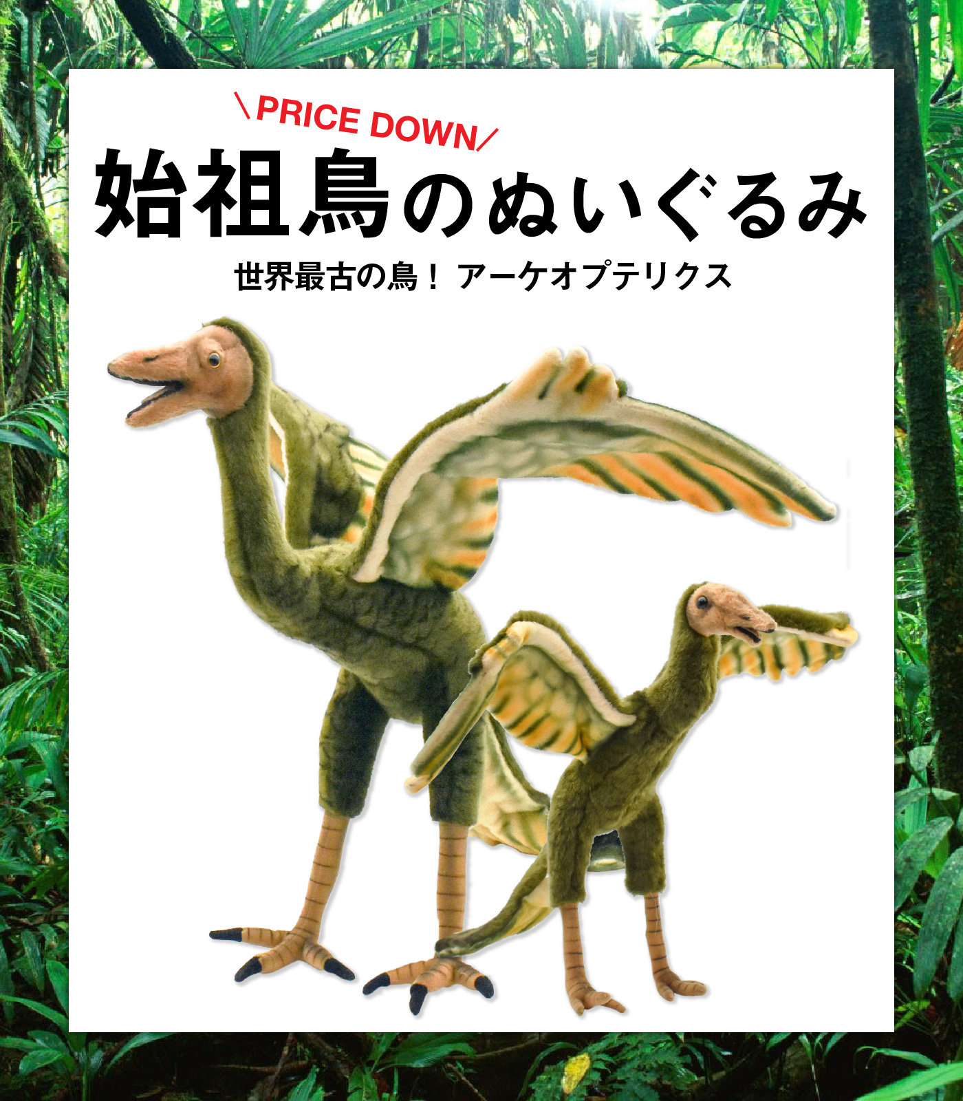希少　ハンサ　ぬいぐるみ　日本未発売　始祖鳥　アーケオプテリクス ハンサ (HANSA) 始祖鳥ぬいぐるみ - 絶滅した原始の空を舞う存在