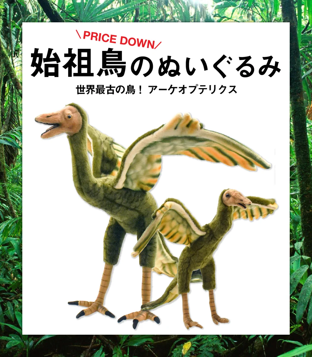 希少　ハンサ　ぬいぐるみ　日本未発売　始祖鳥　アーケオプテリクス HANSA(ハンサ) on X: 
