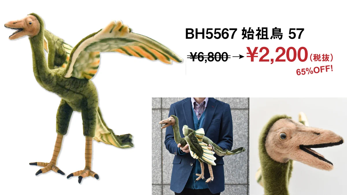 HANSA(ハンサ) on X: 