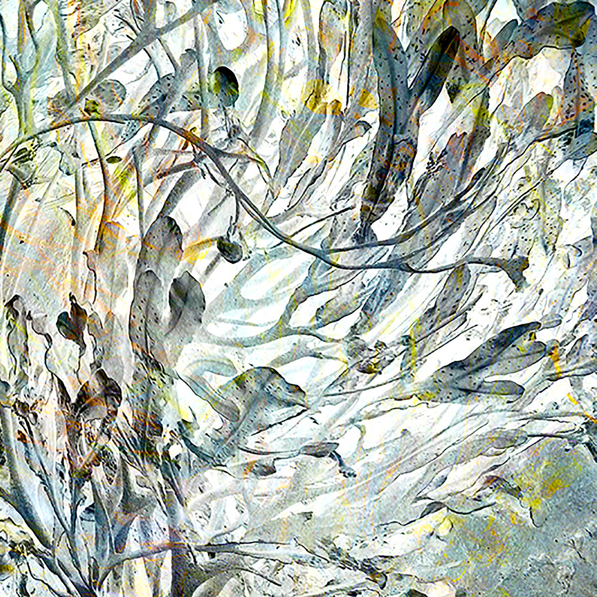 artmaguk's tweet photo. NEOS - North-East Open Studios - runs until 20th Sep.
https://t.co/MSU7zYr4aa
Photo: Linda Watson
@NEOS_uk
#artmag #scottishart #scottishartonline #scottishcraft #scottishcraftonline #openstudios #NEOS2020 #visitabdn https://t.co/cmGBawL8qm