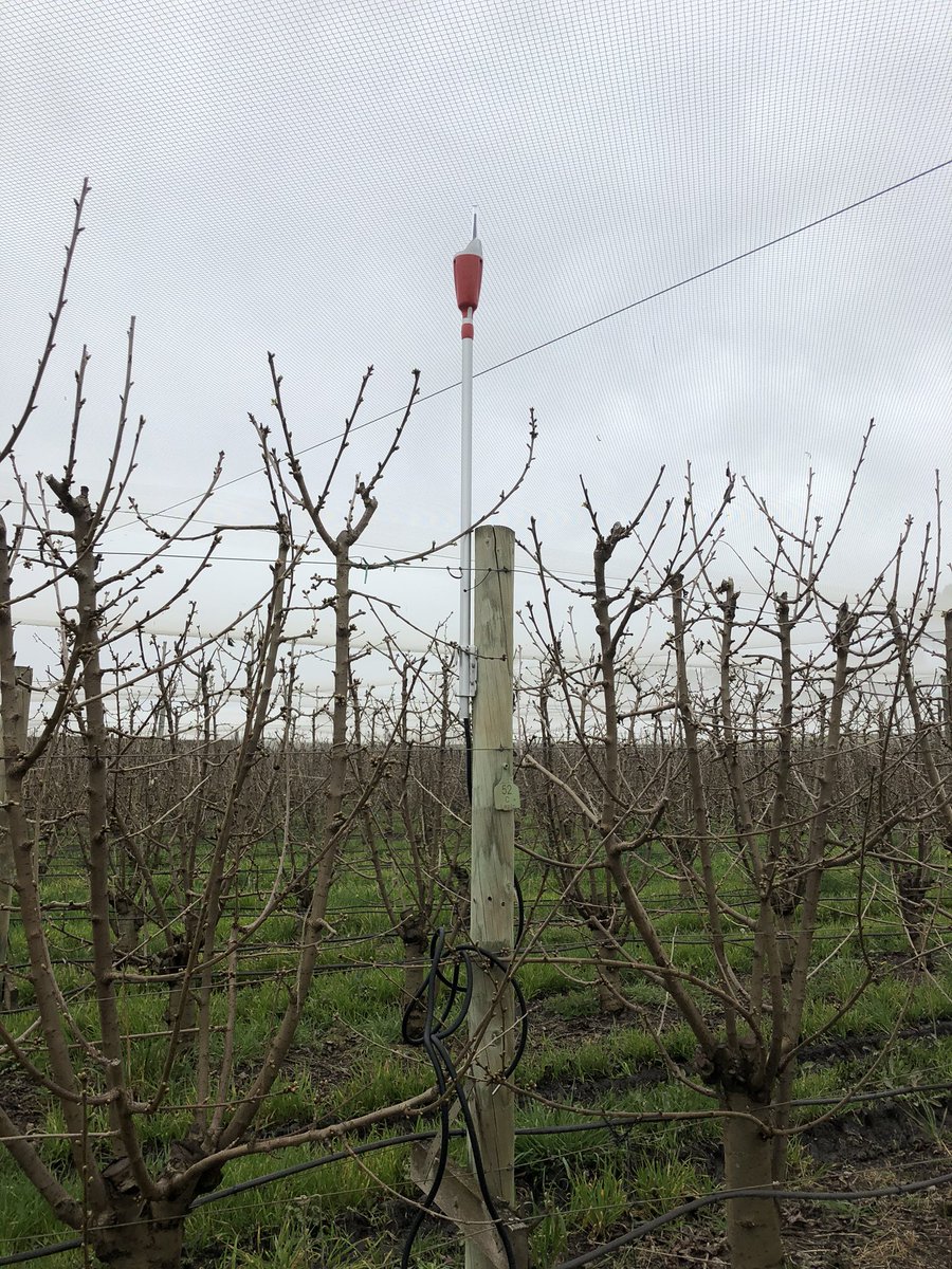 Josh Dennis tweet media