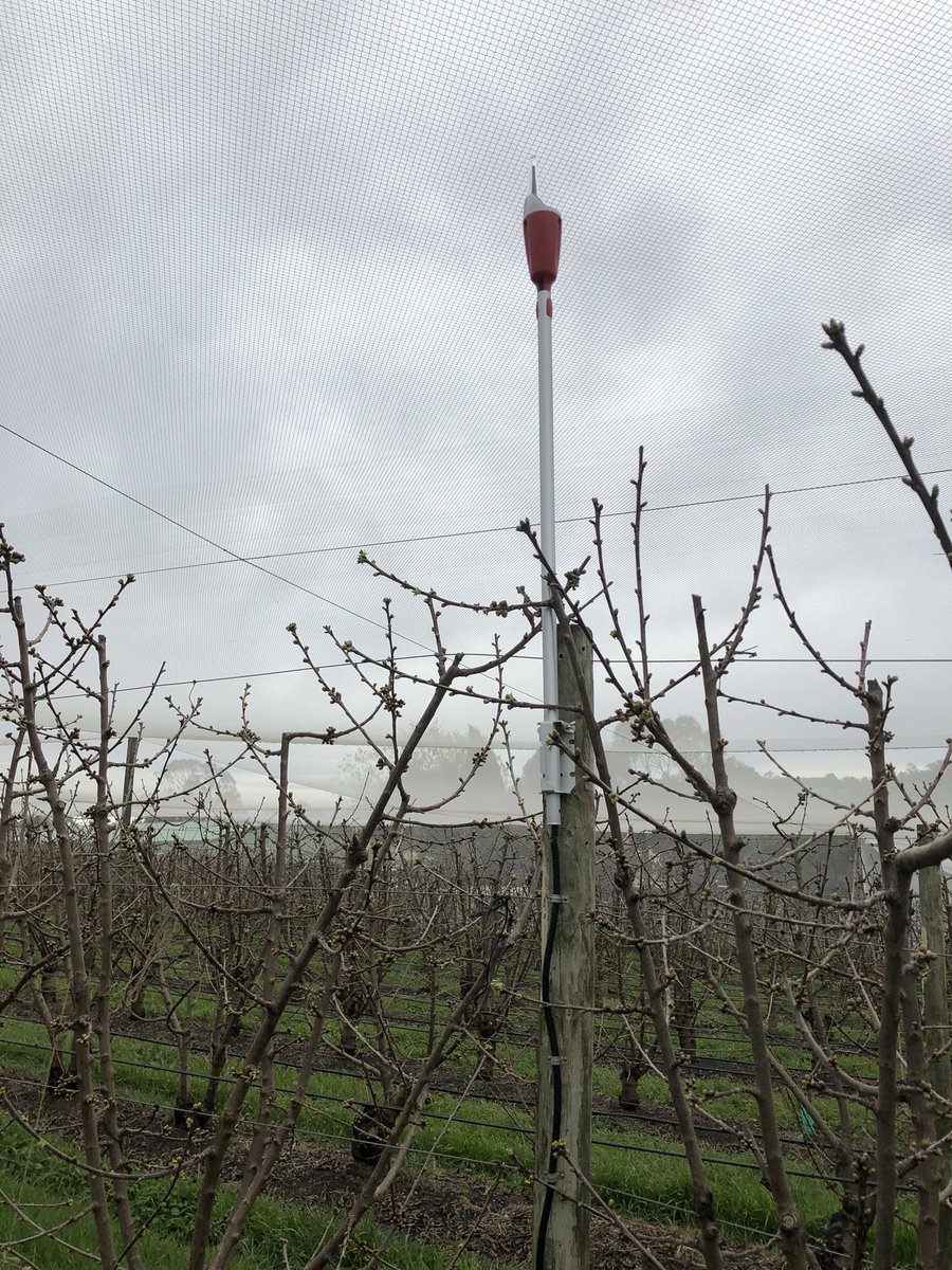 Mea Plexus System install in Southern Tas in cherries, running a 40cm Enviroprobe SM / ST and Air Temp sensor for frost mitigation system set to send sms to grower when temp reaches 0.5 degree.@Serve_Ag @eemuir @MEA_Australia