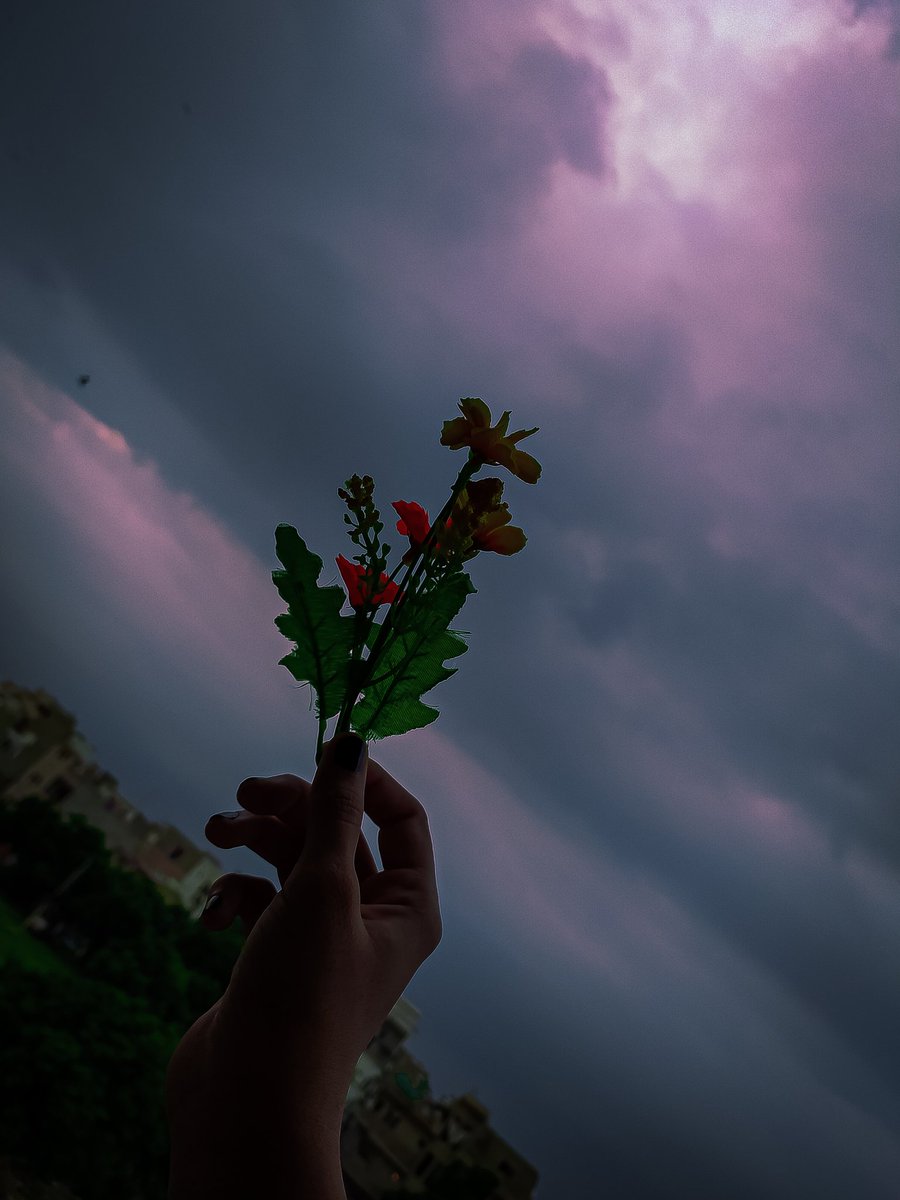denteaesthetic's tweet photo. My gallery is all about aesthetically pleasing pictures that I capture 😍 https://t.co/aa66NRT23k