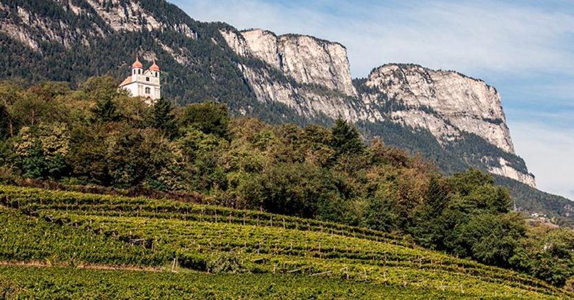 sole24ore's tweet photo. Maratona tra le cantine dell’Alto Adige: un assaggio ogni chilometro https://t.co/IBesA7JjKL https://t.co/ozPSjcRacg