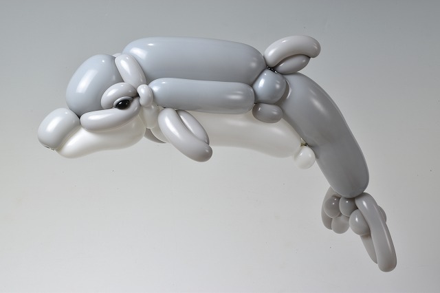 isopresso's tweet photo. バルーンでイルカ
#balloonart #dolphin #バルーンアート https://t.co/YEto8wzajT