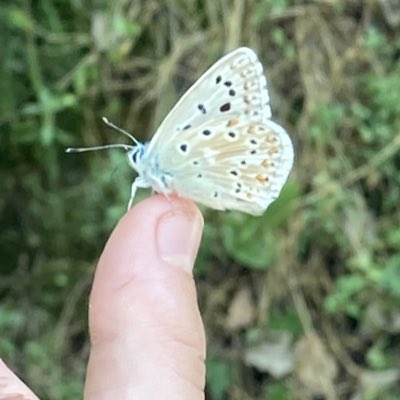 crisga11's tweet photo. #NuevaFotoDePerfil https://t.co/W02AHWCc3v