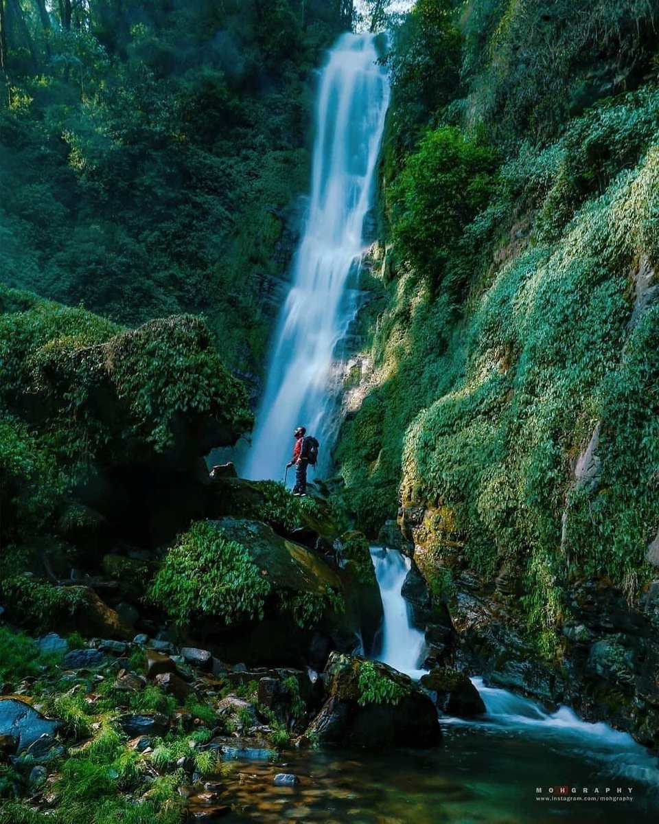sulavyatra's tweet photo. Beautiful Yedi Waterfall on the way to Kapuche Lake, Sikles, Kaski ♥️
📷️ :Mohan K. Duwal 📸
#sulavyatra #kapuchelaketrek
#Travel #Trekking #Mountains #himalaya #amazing #Nepal #sikles #waterfall #landscape #photography #mohgraphy #instatravel #nepal8thwonder #dktm https://t.co/tWYbl6VVB1