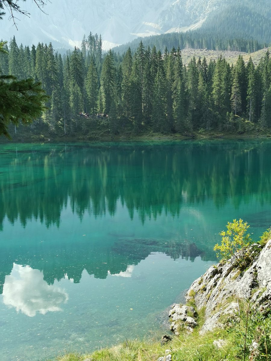FranzyFP's tweet photo. Lago di Carezza #lagodicarezza #dolomiti https://t.co/nWj1ceftME