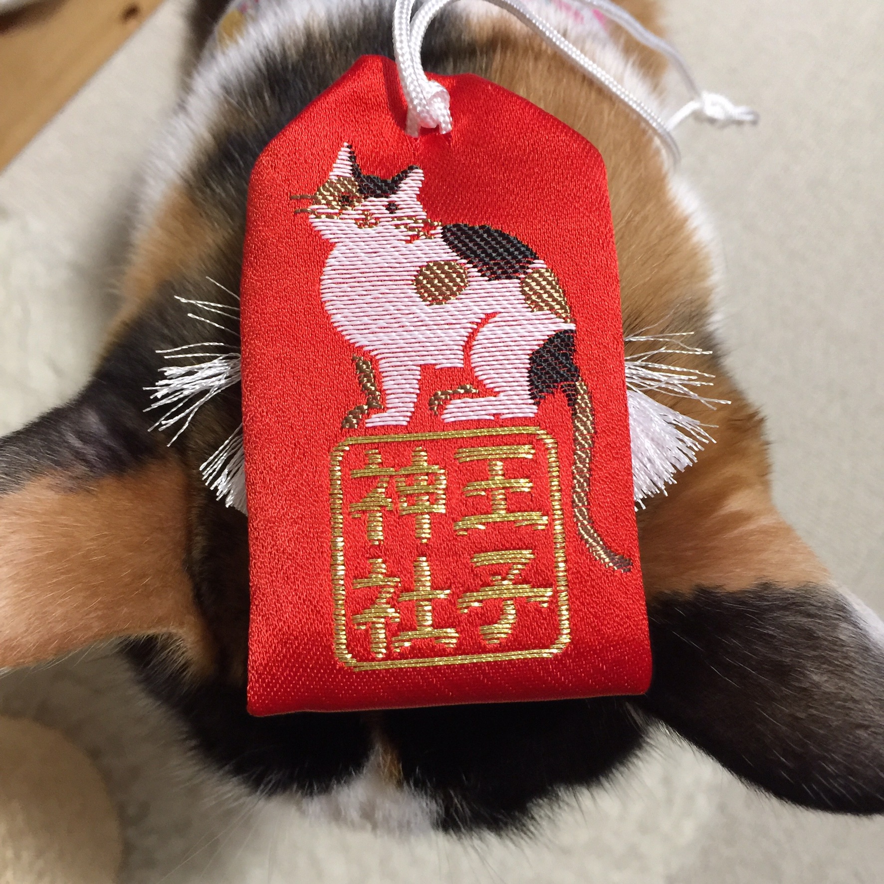 ドンタコス下僕 Su Kun U Chan 徳島の猫神社って言われてる王子神社 とお松大権現は どっちも同じ三毛猫を祀ってる 三毛猫のお守りよ このお守りはどっちも王子神社 T Co Xbuvol5d0h Twitter