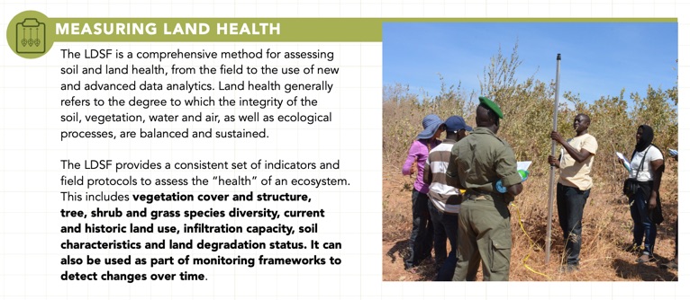 Hot of the press: Drivers of farmer managed natural regeneration (#FMNR) in the #Sahel rdcu.be/b7aGy
Read how <a href="/ICRAF/">World Agroforestry</a> Land Degradation Surveillance Framework (LDSF) bit.ly/32tWfKG was used to assess #soil #erosion and #tree #biodiversity <a href="/WUR/">Wageningen U&R</a> <a href="/CIFOR/">CIFOR</a> @FTA_CGIAR