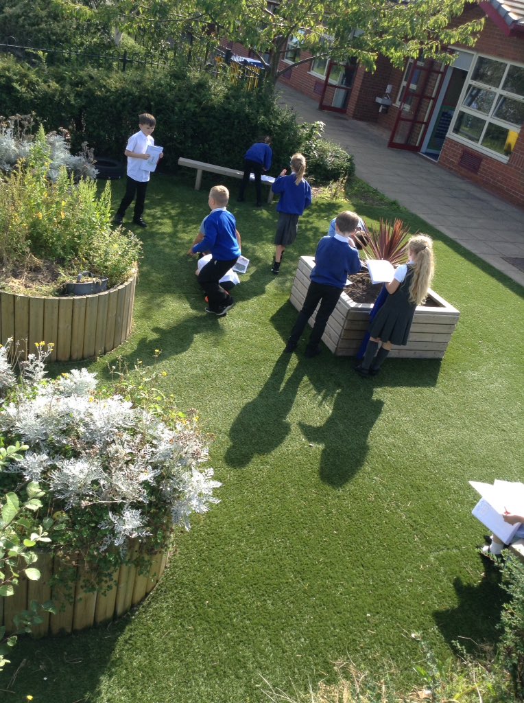 MrMillington_WS's tweet photo. Some outside learning today as we find clues and make predictions about out new class text... #SharedRead #Vikings #Warriors #OutdoorLearning ☀️😄📚 https://t.co/jN6EXmrUOF