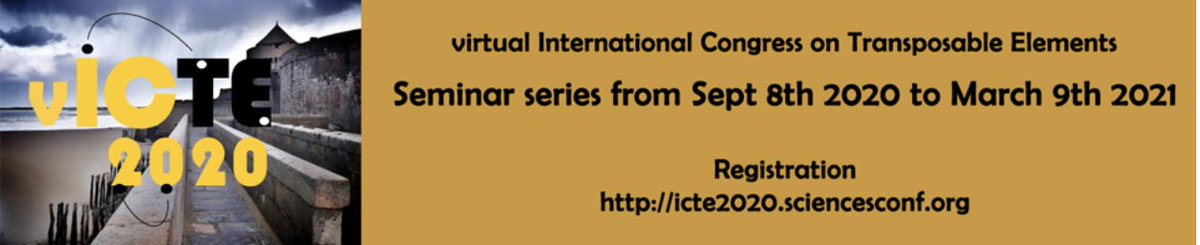 Virtual International Congress on Transposable Elements seminar series - Tuesday, Sept 22 at 6pm CET - Andrea Betancourt, University of Liverpool, UK, Transposable element evolution in Drosophila - Registration link (free but mandatory) and full program icte2020.sciencesconf.org