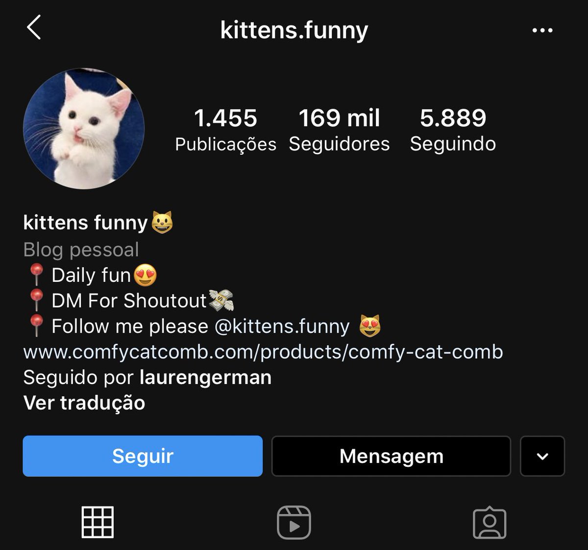 sooyaaclub's tweet photo. A LAUREN SEGUIU UMA CONTA DE VÍDEO DE GATINHO KKKKKKKKKKK NÃO ACREDITO https://t.co/7k7et6vhU5