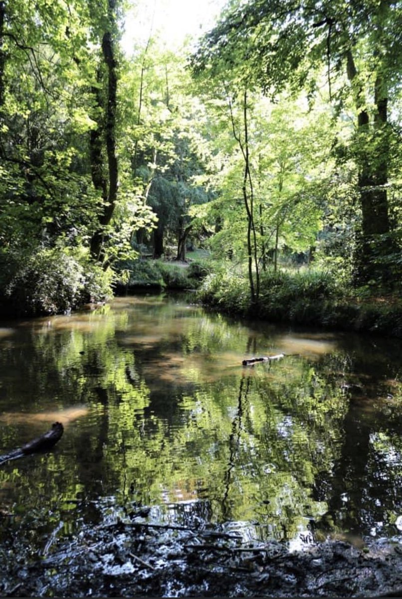 Dare2Dreamuk_'s tweet photo. 🌿🌳🌼☀️ We are very lucky to have such a beautiful base for our Outdoor Education courses 🌳☀️🌿🌼

As our tutors will testify, the young people we support thrive when engaged in outdoor learning

#AlternativeProvision #outdoored #SEMH #workrelated #City&amp;Guilds @coombeabbeypark https://t.co/Etn3Pqo5Nm