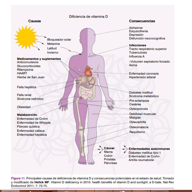saludatm's tweet photo. DEFICIENCIA DE VITAMINA D: Causas y consecuencias☀️🧠
https://t.co/OHh2B6CWs2 https://t.co/PXu6TePU6f