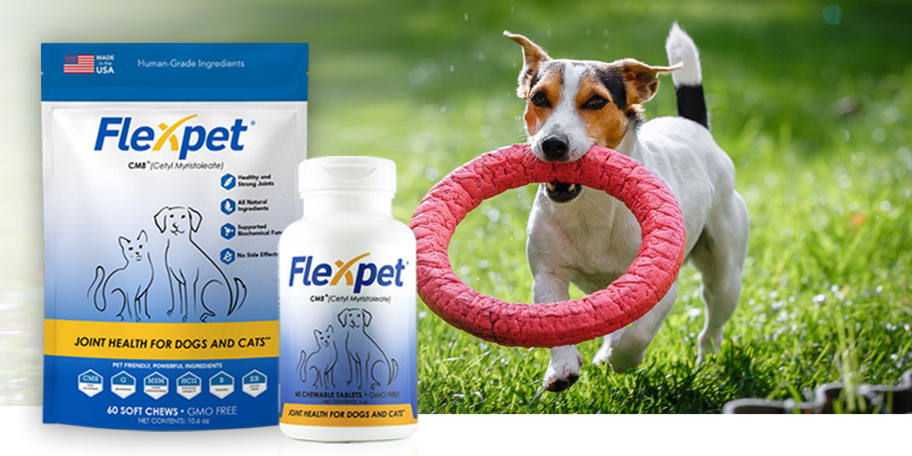 Pets love the taste of Flexpet soft chews and pet owners love to see their cats and dogs with healthy joints again.
Improve the quality of your pet’s life now.
Shop at flexpet.com #dogs #doghealth #jointcare