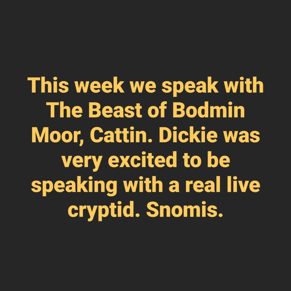 T.R.U.T.H. tweet media