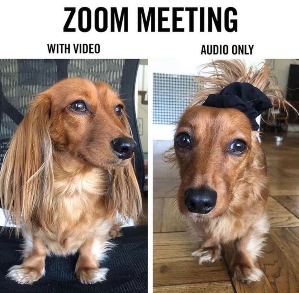 Come on, you know it's true, right? 😅

#Zoom #ZoomMeeting #ZoomCall #RemoteWorking
