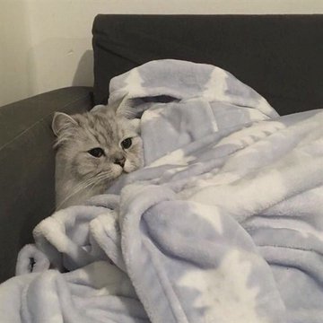 YUJlMlNlE's tweet photo. Hi customer 🙇 welcome to the Dreamland airlines. We will just take few minutes to arrive into dreamland so fasten your blankets, close your eyes and stay put to dream. Goodnight! 🚀 ❤ https://t.co/JPlXGDeYD1