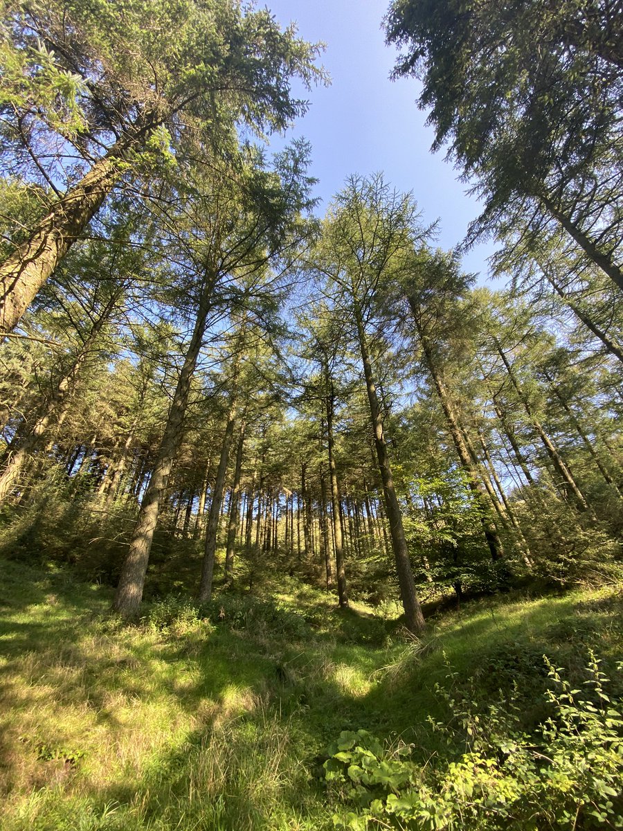 James Torry tweet media